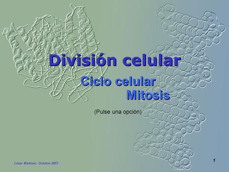 División celular Mitosis Ciclo celular (Pulse una opción)