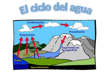 El ciclo del agua.
