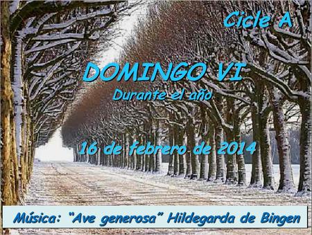 DOMINGO VI Cicle A 16 de febrero de 2014
