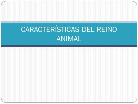 CARACTERÍSTICAS DEL REINO ANIMAL