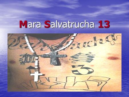 Mara Salvatrucha 13.