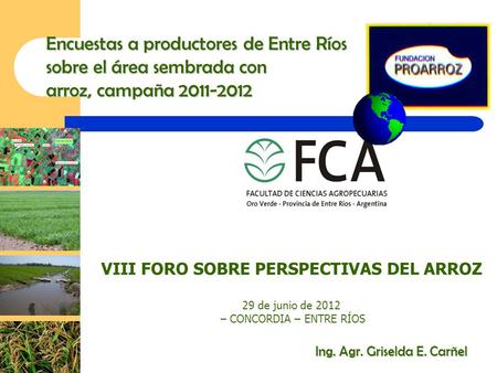 VIII FORO SOBRE PERSPECTIVAS DEL ARROZ 29 de junio de 2012 – CONCORDIA – ENTRE RÍOS Encuestas a productores de Entre Ríos sobre el área sembrada con arroz,