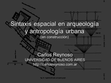 Carlos Reynoso UNIVERSIDAD DE BUENOS AIRES