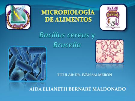 Bacillus cereus y Brucella