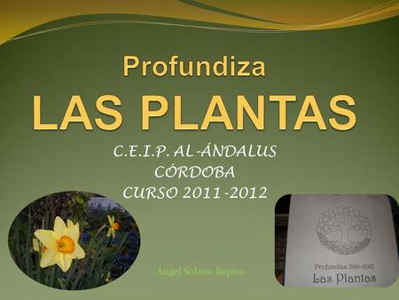 C.E.I.P. AL-ÁNDALUS CÓRDOBA CURSO 2011-2012 Ángel Solano Repiso.