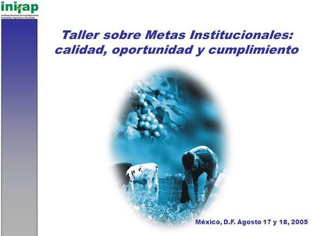 Taller sobre Metas Institucionales: calidad, oportunidad y cumplimiento México, D.F. Agosto 17 y 18, 2005.