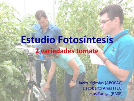 Estudio Fotosíntesis 2 variedades tomate