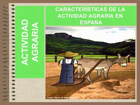 ACTIVIDAD AGRARIA CARACTERÍSTICAS DE LA ACTIVIDAD AGRARIA EN ESPAÑA