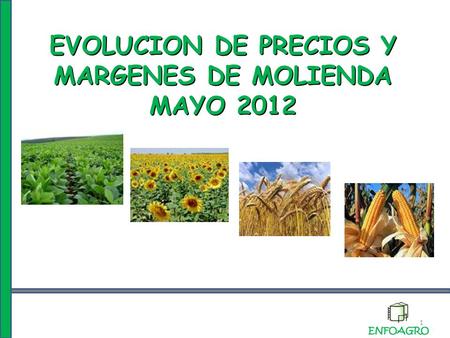 EVOLUCION DE PRECIOS Y MARGENES DE MOLIENDA MAYO 2012 1.