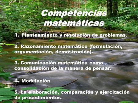 Competencias matemáticas