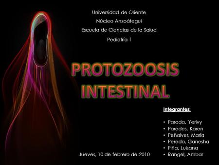 PROTOZOOSIS INTESTINAL