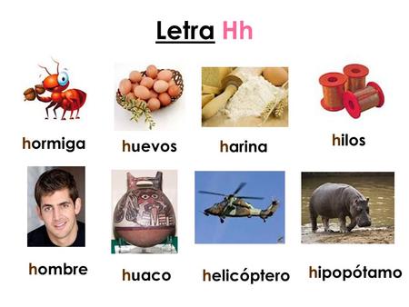 Letra Hh hormiga huevos hombre hipopótamo huaco helicóptero hilos