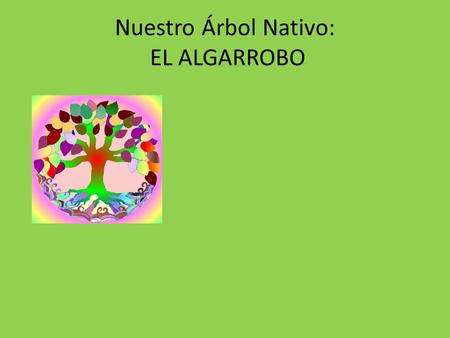 Nuestro Árbol Nativo: EL ALGARROBO