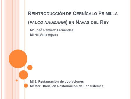 R EINTRODUCCIÓN DE C ERNÍCALO P RIMILLA ( FALCO NAUMANNI ) EN N AVAS DEL R EY Mª José Ramírez Fernández Marta Valle Agudo M12. Restauración de poblaciones.