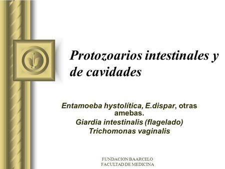 Protozoarios intestinales y de cavidades