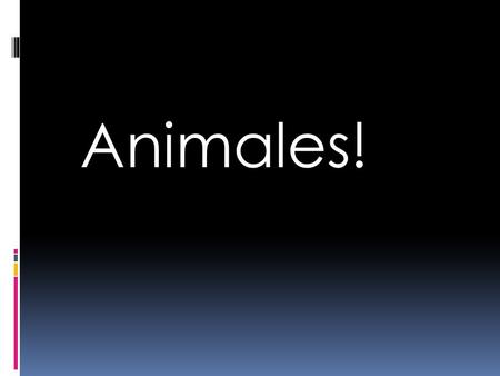 Animales!.