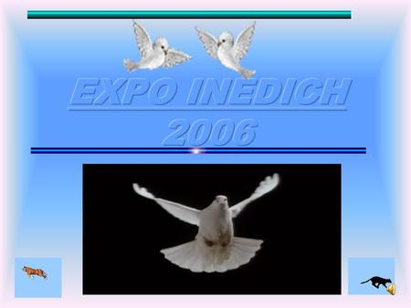 EXPO INEDICH 2006.