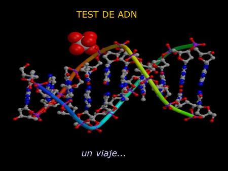 TEST DE ADN un viaje....