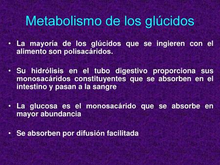 Metabolismo de los glúcidos