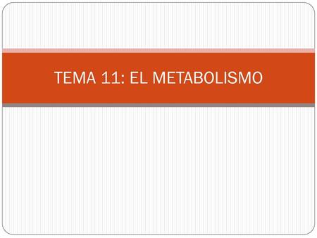 TEMA 11: EL METABOLISMO.