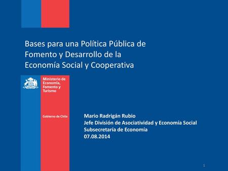Mario Radrigán Rubio Jefe División de Asociatividad y Economía Social