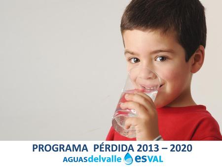PROGRAMA PÉRDIDA 2013 – 2020.