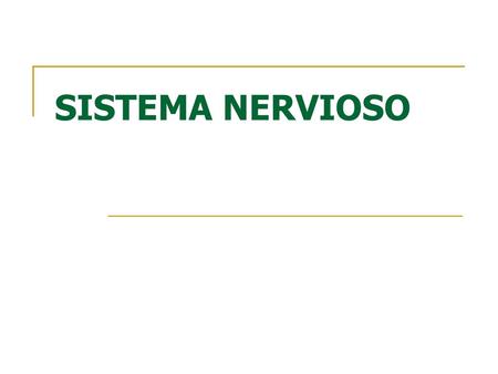 SISTEMA NERVIOSO.