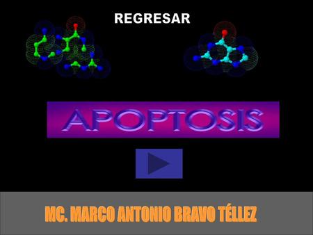 MC. MARCO ANTONIO BRAVO TÉLLEZ
