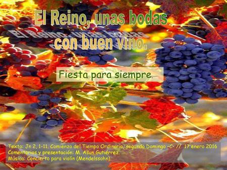 El Reino, unas bodas con buen vino. Fiesta para siempre.