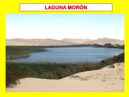 LAGUNA MORÓN.