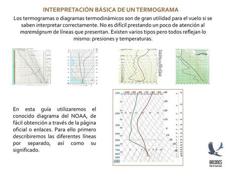 INTERPRETACIÓN BÁSICA DE UN TERMOGRAMA