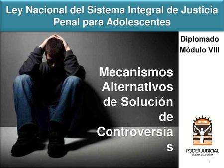 Ley Nacional del Sistema Integral de Justicia Penal para Adolescentes