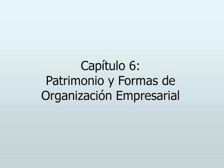 Capítulo 6: Patrimonio y Formas de Organización Empresarial