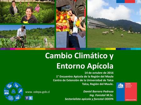 Cambio Climático y Entorno Apícola 14 de octubre de 2016 1° Encuentro Apícola de la Región del Maule Centro de Extensión de la Universidad de Talca Talca,