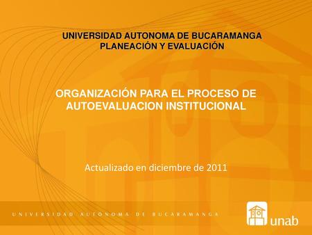 ORGANIZACIÓN PARA EL PROCESO DE AUTOEVALUACION INSTITUCIONAL