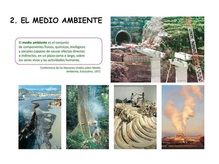 2. EL MEDIO AMBIENTE El medio ambiente es el conjunto de componentes físicos, químicos, biológicos y sociales capaces de causar efectos directos o indirectos,
