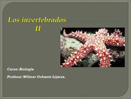 Los invertebrados II Curso: Biología Profesor: Wilmer Ochante Lijarza.