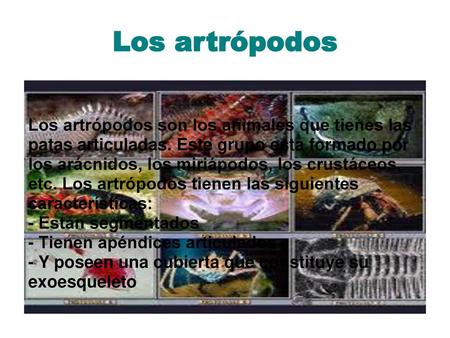 Los artrópodos Los artrópodos son los animales que tienes las patas articuladas. Este grupo esta formado por los arácnidos, los miriápodos, los crustáceos,