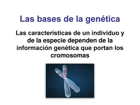 Las bases de la genética