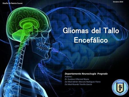 Gliomas del Tallo Encefálico