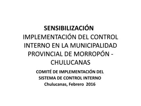 COMITÉ DE IMPLEMENTACIÓN DEL SISTEMA DE CONTROL INTERNO