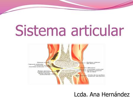 Sistema articular Lcda. Ana Hernández.