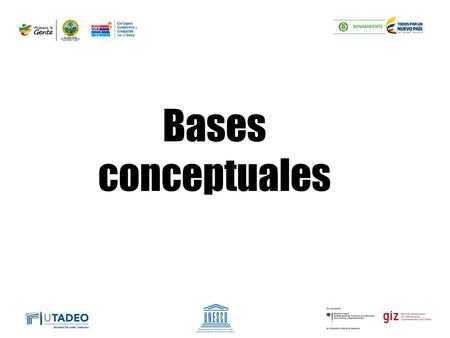 Bases conceptuales.