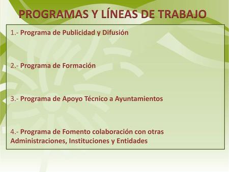 PROGRAMAS Y LÍNEAS DE TRABAJO