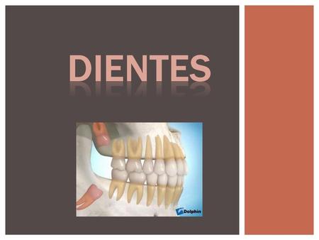 DIENTES.