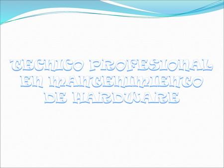 TECNICO PROFESIONAL EN MANTENIMIENTO DE HARDWARE.