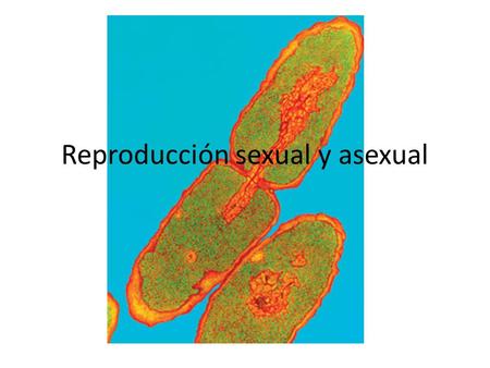 Reproducción sexual y asexual. Reproducción de hongos.