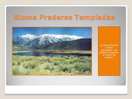 Bioma Praderas Templadas Se encuentran en 5 áreas principales: Las prairies, la pampa, el veldt y las estepas.