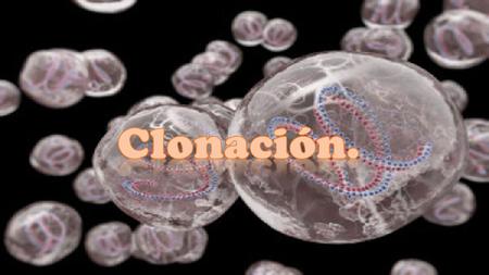 clonación celular: Que consiste en formar un grupo de células a partir de una sola. En el caso de los organismos unicelulares se trata de un proceso.