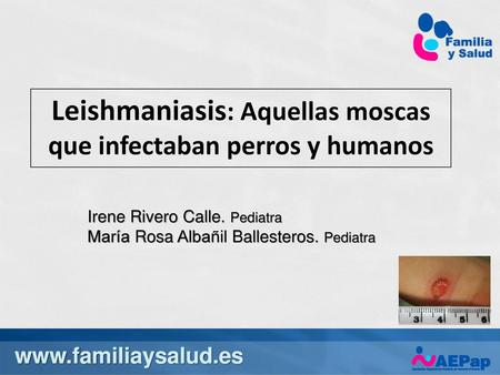 Leishmaniasis: Aquellas moscas que infectaban perros y humanos
